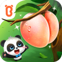 四大两小夺得前六大师赛对比：纳豆最高效，阿卡全能王！